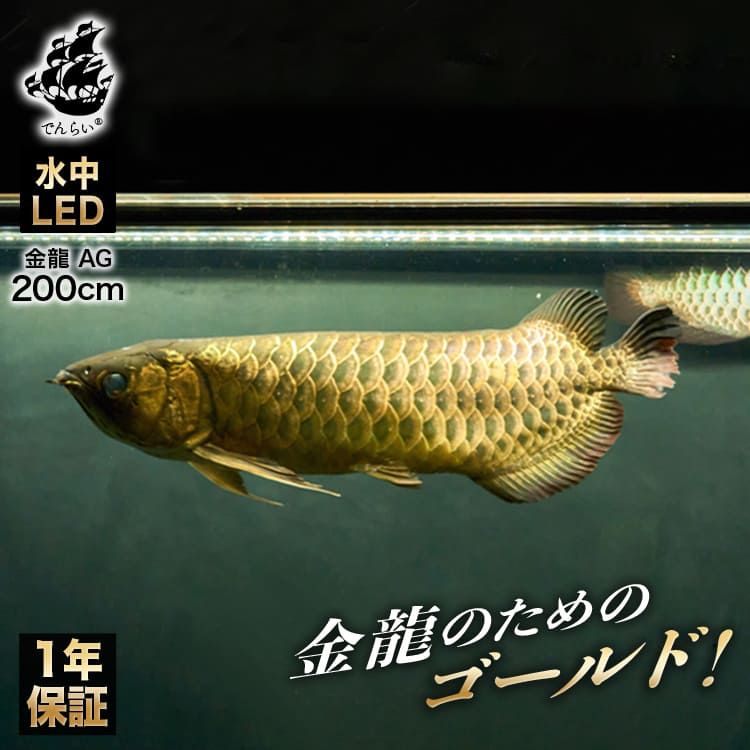 200cm｜AG200-EX | 金龍オーナー必見！金龍の美しさを最大限に引き出す水中LEDライト
