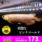 アロワナの美しさを引き出すピンクゴールドの水中LEDライト｜PG180-EX