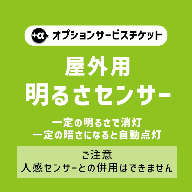 【商品と一緒にご購入下さい】 オプションチケット 明るさセンサー Dark Sensor option