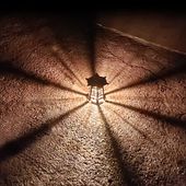 影まで美しい屋外照明。おしゃれな光と影のアート。 ｜ wp051-tyoukou