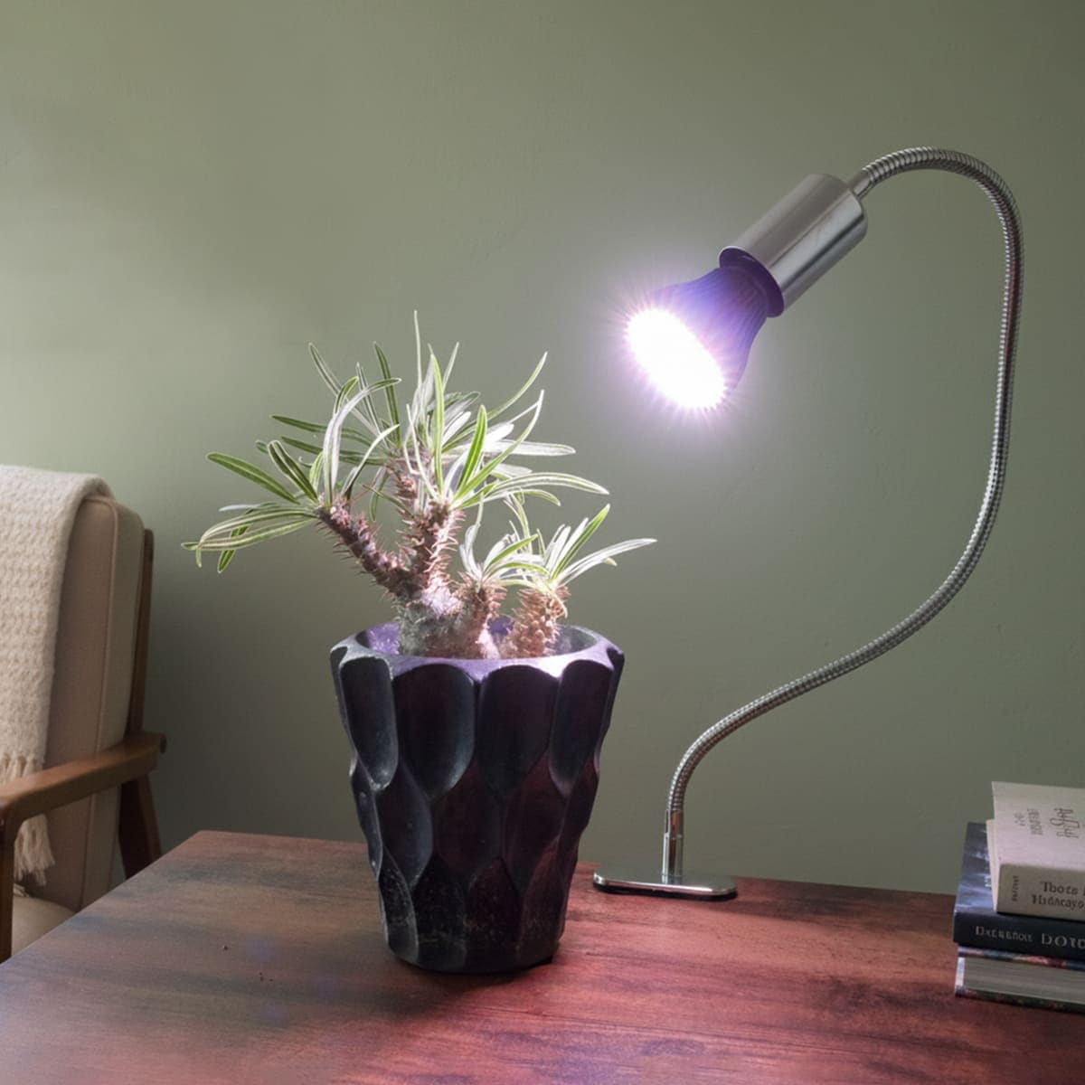 いつでも日当たり良好！室内で観葉植物を育成するクリップ式LEDライト
