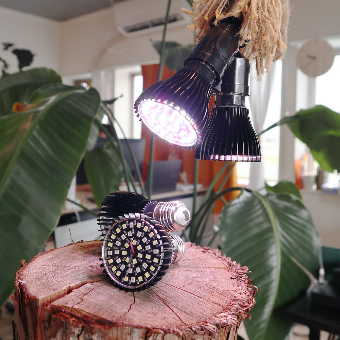 日照不足の植物を元気に！植物の育成をサポートする専用LED電球｜z-bl-plant01