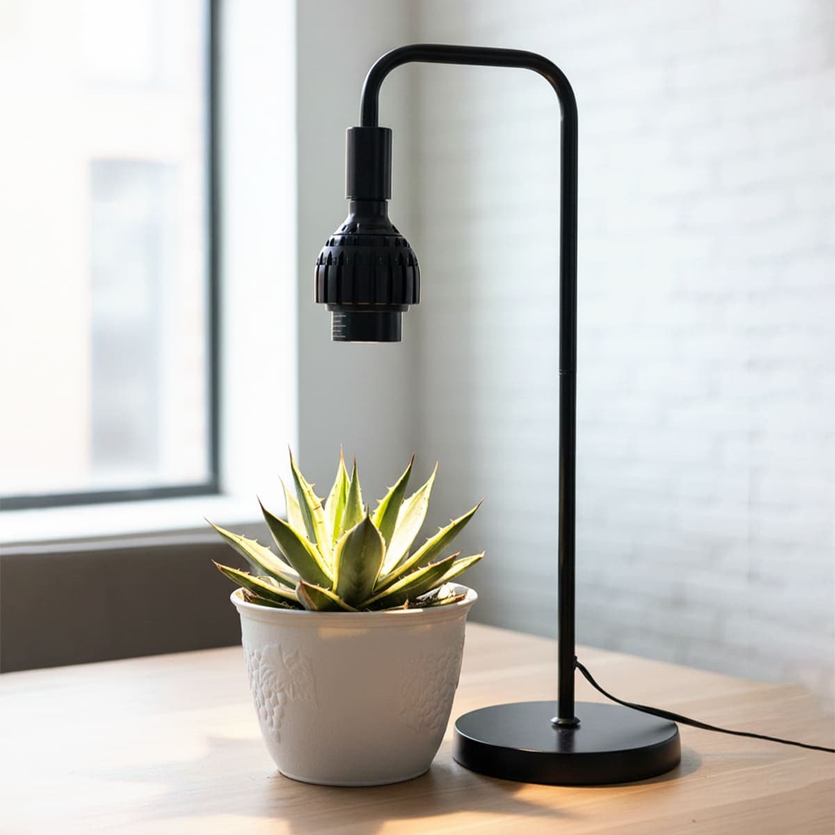 日光が当たらない室内で観葉植物を元気に育てる！植物育成LEDライト