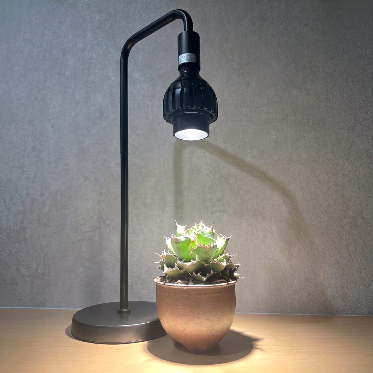 日光が当たらない室内で観葉植物を元気に育てる！植物育成LEDライト