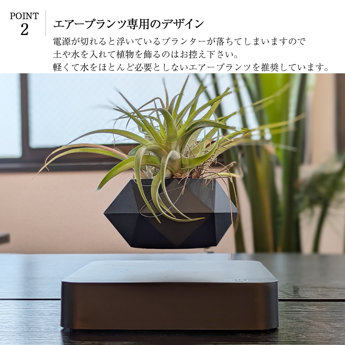 空中に植物を浮かせる 新しいプランター