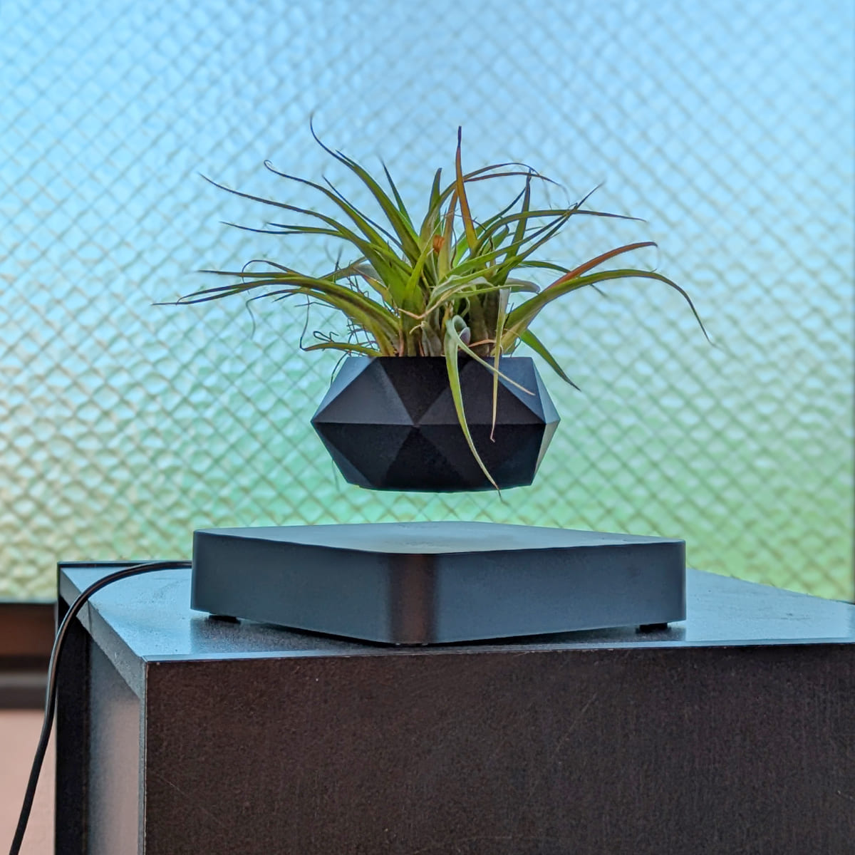 空間に驚きをプラス!浮遊するプランターでインテリアをアップデート。 |Desk-Plant