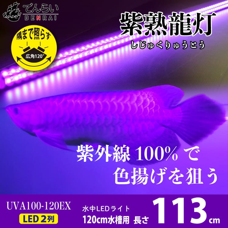 【予約販売】紫外線100%のLEDで紅龍・金龍の色彩をじっくり引き出す水中ライト|UV100-A-120EX