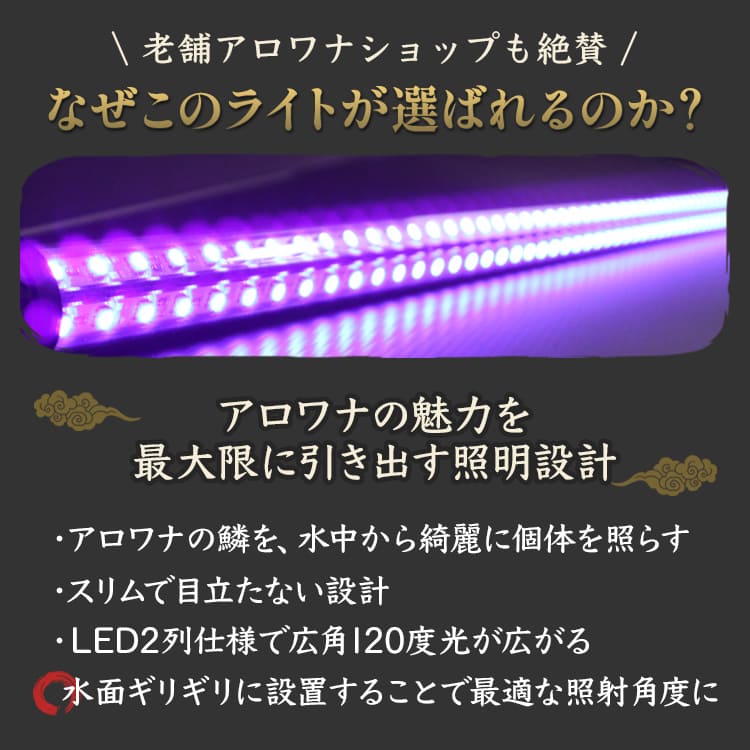 【予約販売】ほんのり幻想的な紫の光で水槽を演出するアロワナ用LEDライト｜UV100-A-180EX