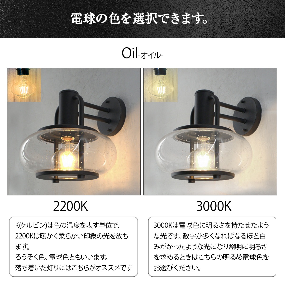 貝殻　本物　ライト入り 貝殻 本物 ライト入り 貝殻 ライト」の人気商品一覧 | 安い商品