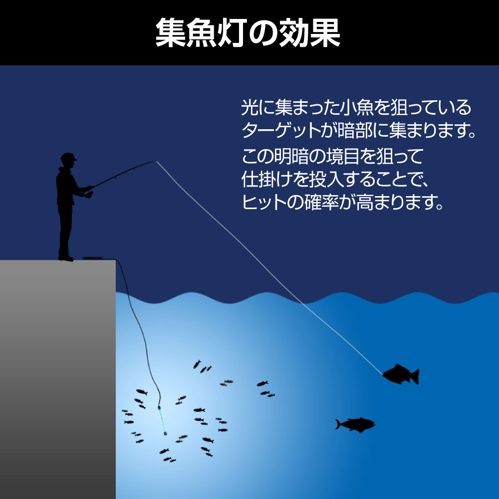 強力な光で集魚効果抜群。船釣り・堤防釣りに最適！LEDで魚を誘う｜z029-20m