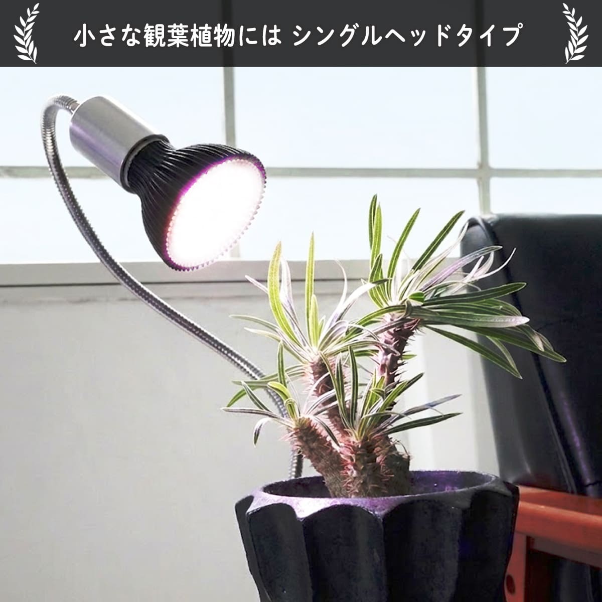 いつでも日当たり良好！室内で観葉植物を育成するクリップ式LEDライト