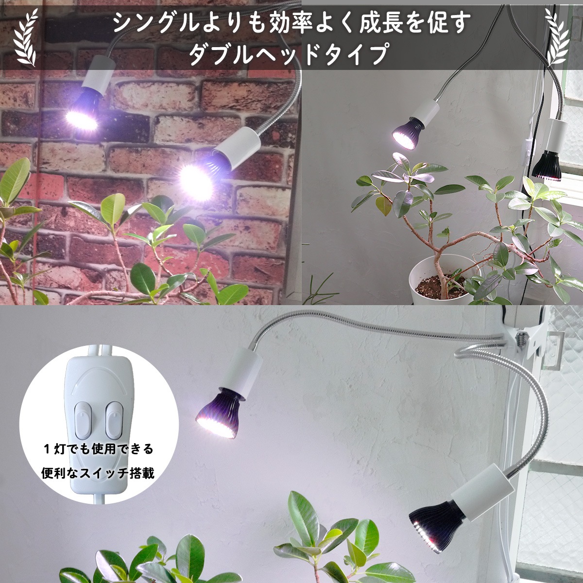 いつでも日当たり良好！室内で観葉植物を育成するクリップ式LEDライト｜z-plant01