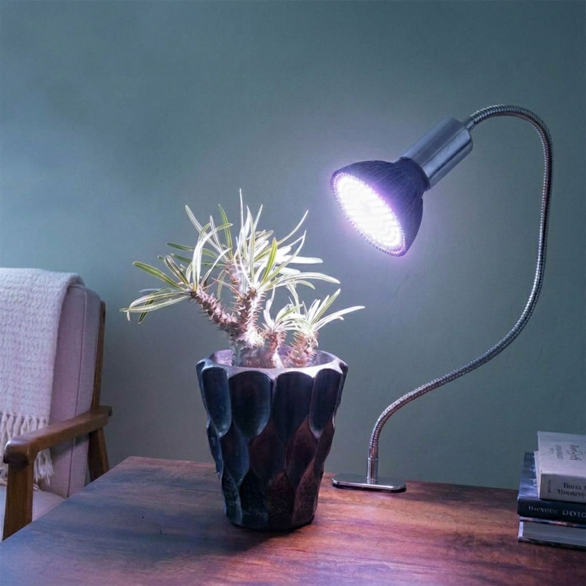 いつでも日当たり良好!室内で観葉植物を育成するクリップ式LEDライト|z-plant01