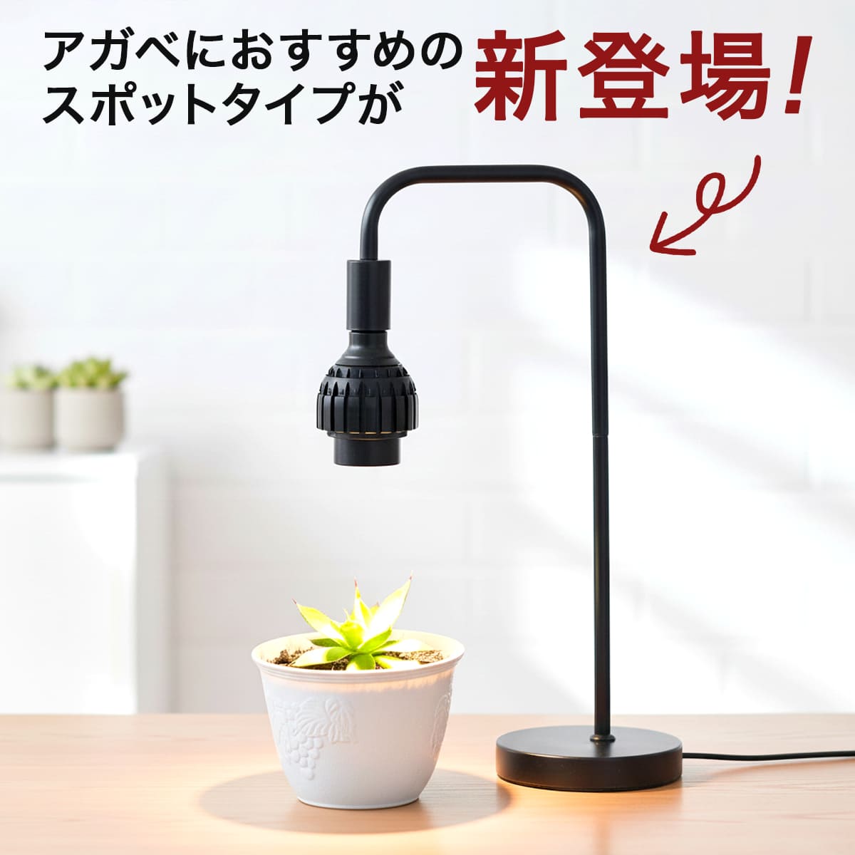 日照不足の植物を元気に！植物の育成をサポートする専用LED電球