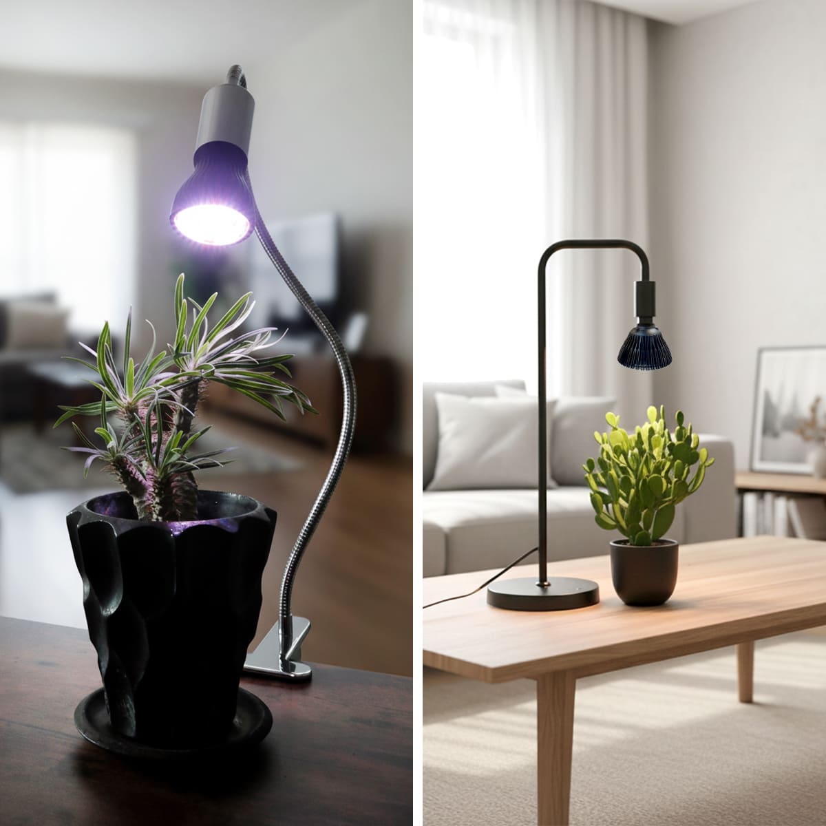日照不足の植物を元気に!植物の育成をサポートする専用LED電球|z-bl-plant01