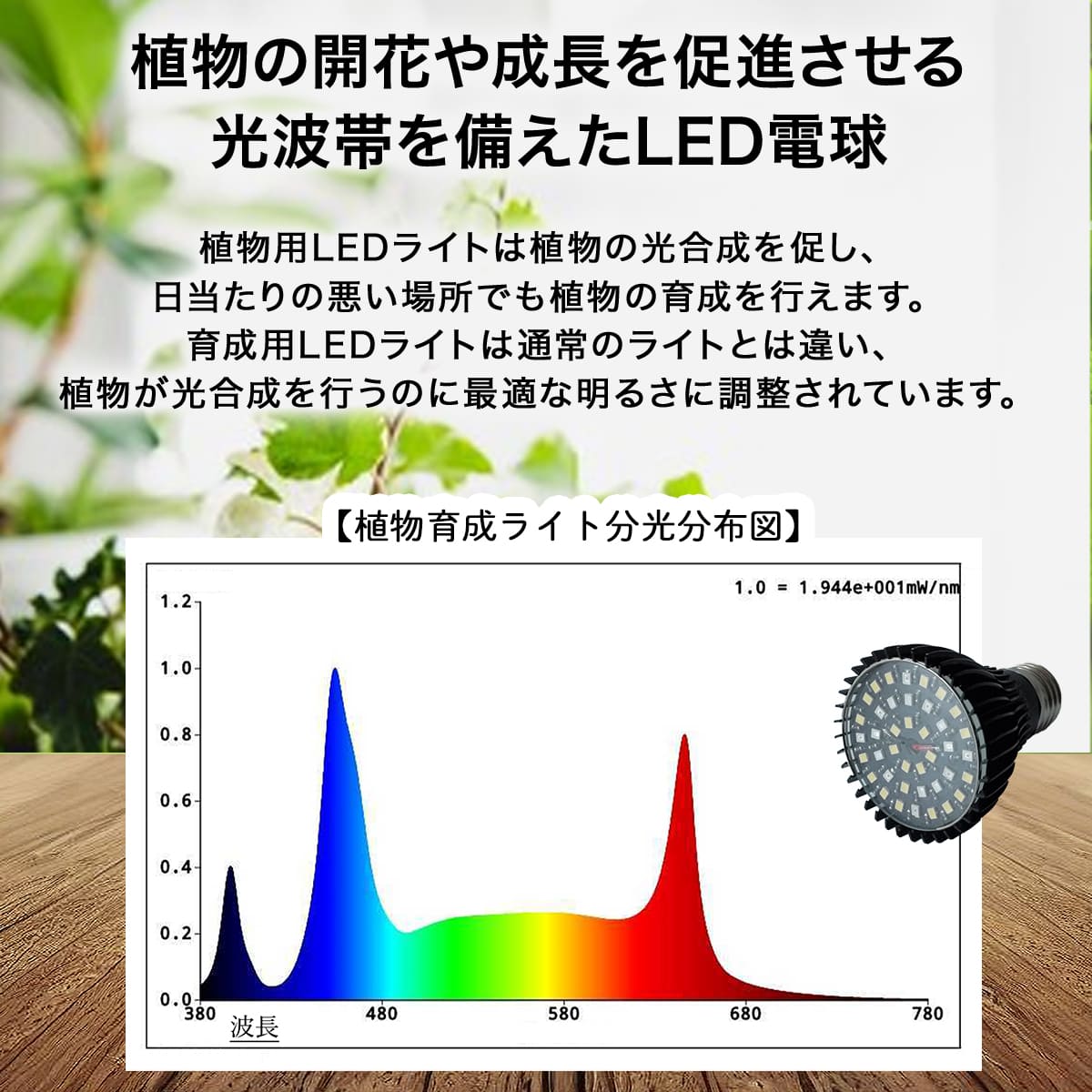日照不足の植物を元気に！植物の育成をサポートする専用LED電球｜z-bl-plant01