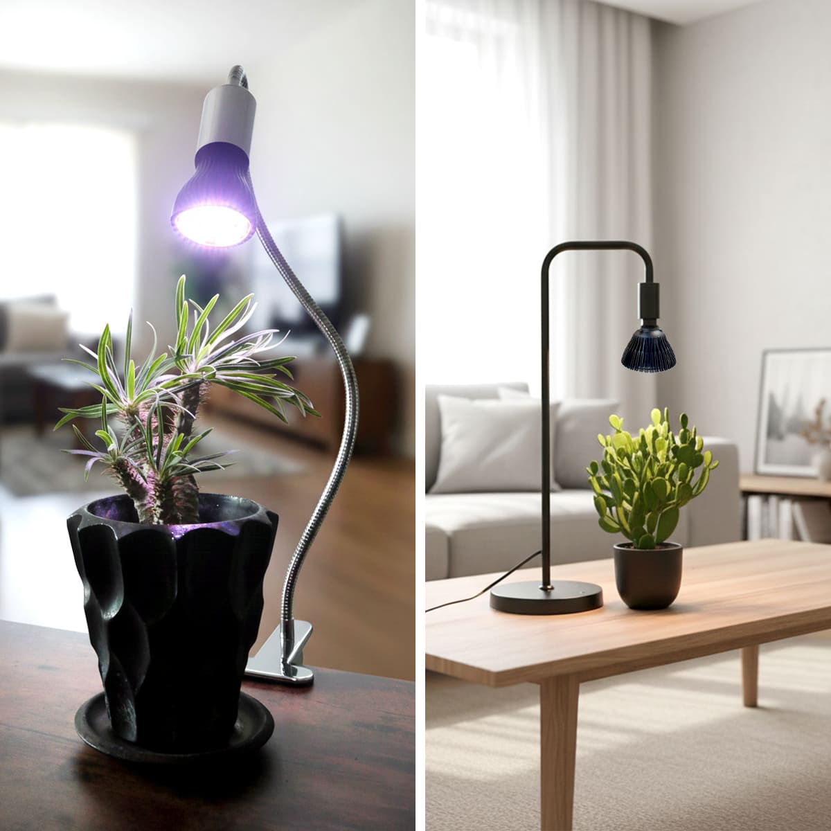 日照不足の植物を元気に！植物の育成をサポートする専用LED電球｜z-bl-plant01