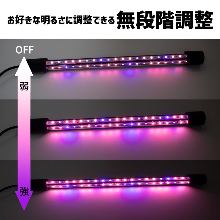 アロワナ愛好家必見！調光可能なACアダプターで照明を自在にコントロール ｜ Z038