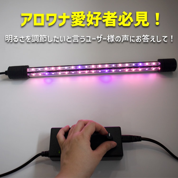 アロワナ愛好家必見！調光可能なACアダプターで照明を自在にコントロール ｜ Z038