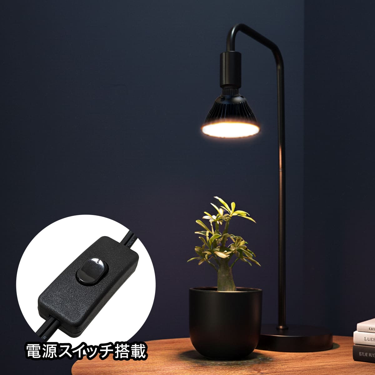 日光が当たらない室内で観葉植物を元気に育てる!植物育成LEDライト|Stand-PL
