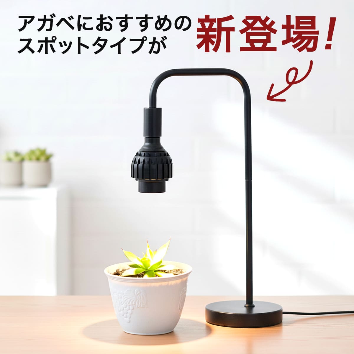 日光が当たらない室内で観葉植物を元気に育てる!植物育成LEDライト|Stand-PL