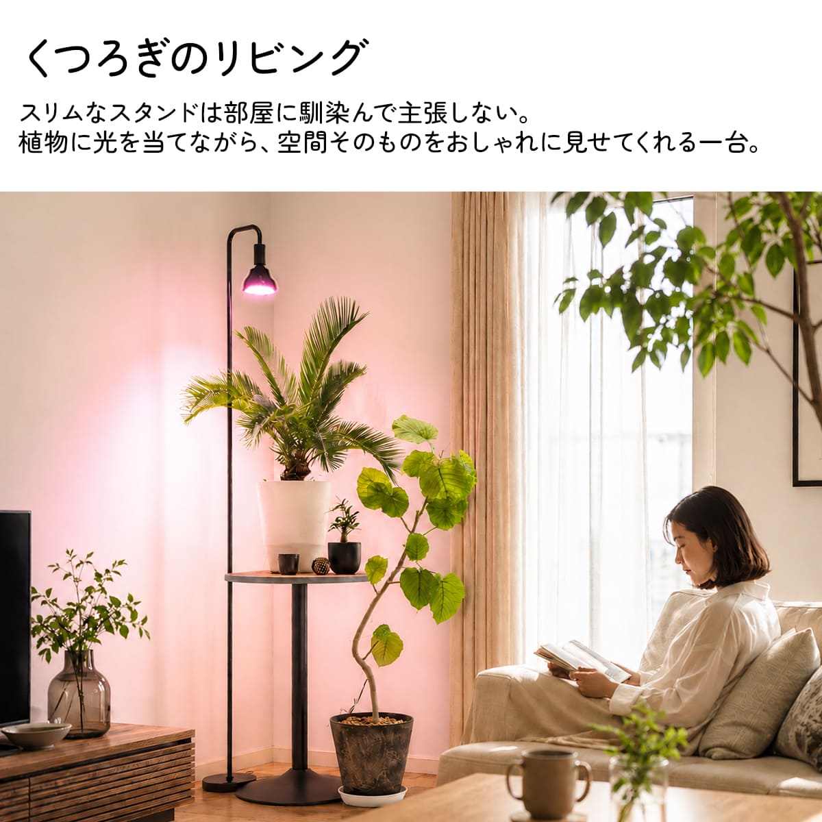 日光が当たらない室内で観葉植物を元気に育てる！植物育成LEDライト