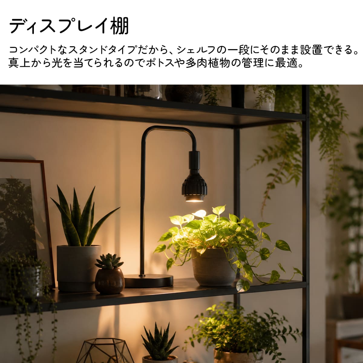 日光が当たらない室内で観葉植物を元気に育てる！植物育成LEDライト