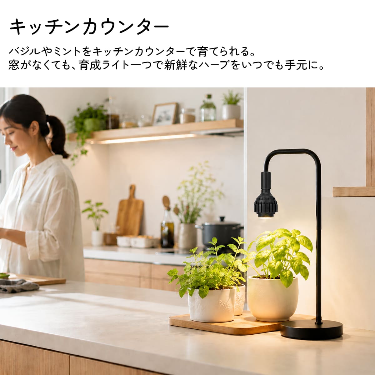 日光が当たらない室内で観葉植物を元気に育てる！植物育成LEDライト