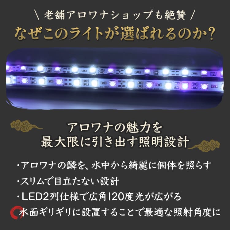 【予約販売】120cm｜AK-120UV-EX | スリム＆高耐久！金龍を美しく魅せる、UV-Aチップ配合の水中LED