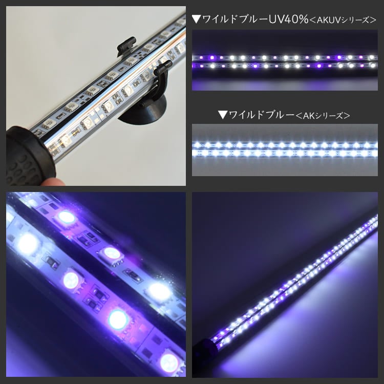 150cm|AK-150UV-EX | UV-A搭載で自然環境に近づける!金龍のための水中LEDライト