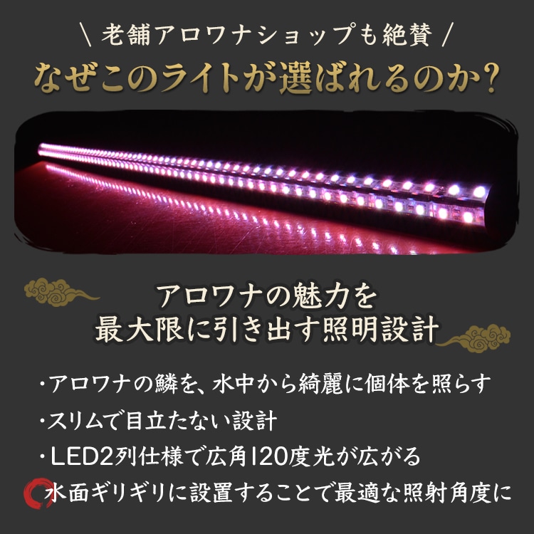 水槽内の水の赤身を軽減！紅龍の赤を自然に際立たせる水中LEDライト