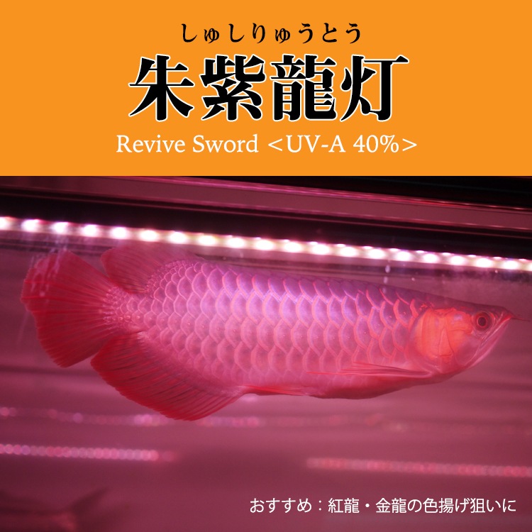 【予約販売】紫外線で自然界に近づけ 朱紫龍灯 リバイブソード EX LED 2列 UV 紅龍 200cm水槽用｜AR2-200-UV-EX