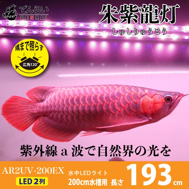 【予約販売】紫外線で自然界に近づけ 朱紫龍灯 リバイブソード EX LED 2列 UV 紅龍 200cm水槽用｜AR2-200-UV-EX