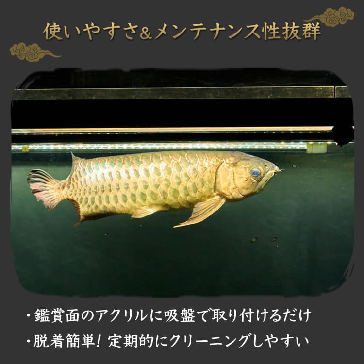 水槽全体を明るく照らし、鱗を際立たせる！金龍専用の高輝度水中ライト