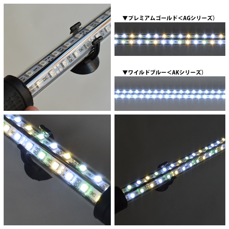 プレミアムゴールドEX アロワナ水中照明 LED2列 金龍 150cm水槽用｜AG150-EX