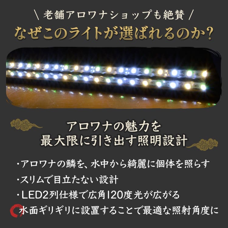 プレミアムゴールドex アロワナ水中照明 Led2列 金龍 180cm水槽用 Ag180 Ex アロワナ水中ライト でんらい公式
