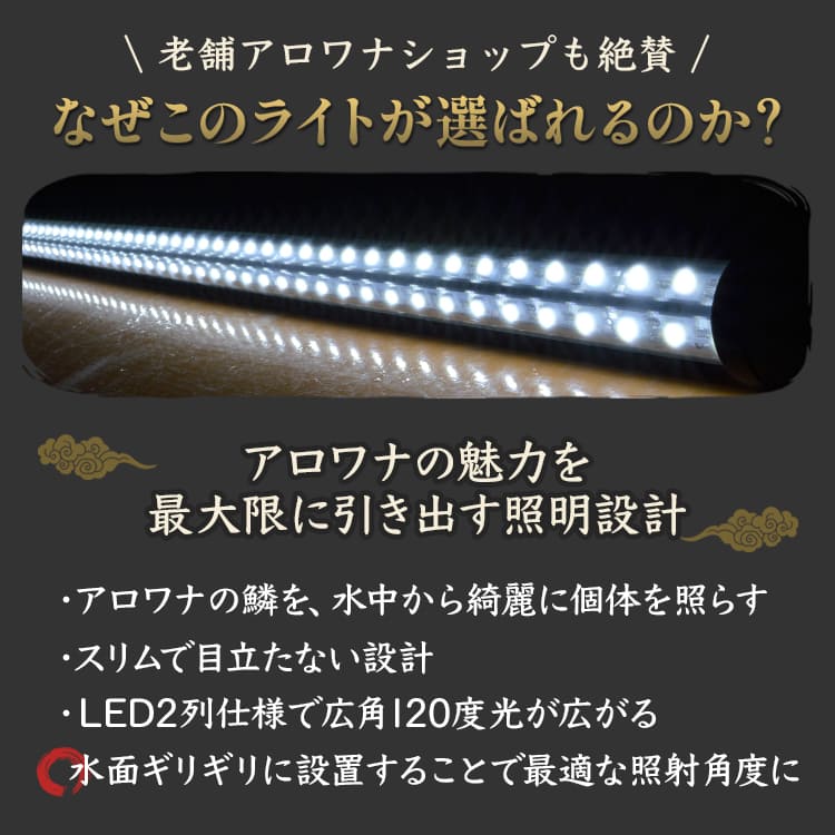 150cm|AK150-EX | スリム設計&強化ガラス採用!耐久性抜群の金龍用水中LEDライト