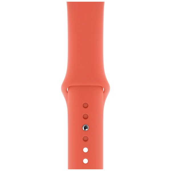 【ラッピング可】【即日発送】【国内版】【新品】Apple SPORT　BAND　MWUT2FE/A