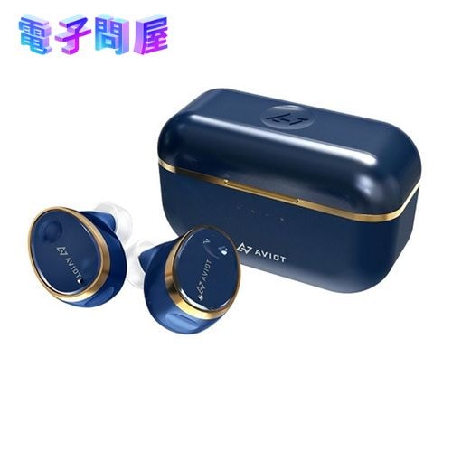 【新品】AVIOT フルワイヤレスイヤホン TE-D01T ネイビー
