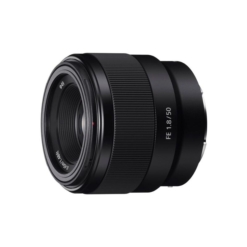 【ラッピング可】【即日発送】【新品】SONY ソニー 標準単焦点レンズ FE 50mm F1.8 SEL50F18F Eマウント対応