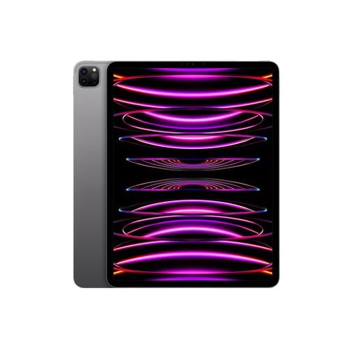 【即日発送】【新品 保証開始済み品】iPad Pro 12.9インチ 第6世代 Wi-Fi 1TB スペースグレイ MNXW3J/A