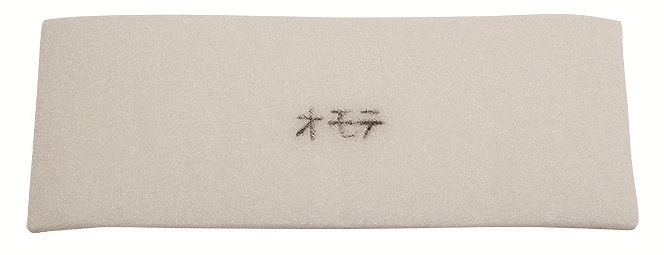 ֡E13RV02A۴ѥե륿(171x424С1