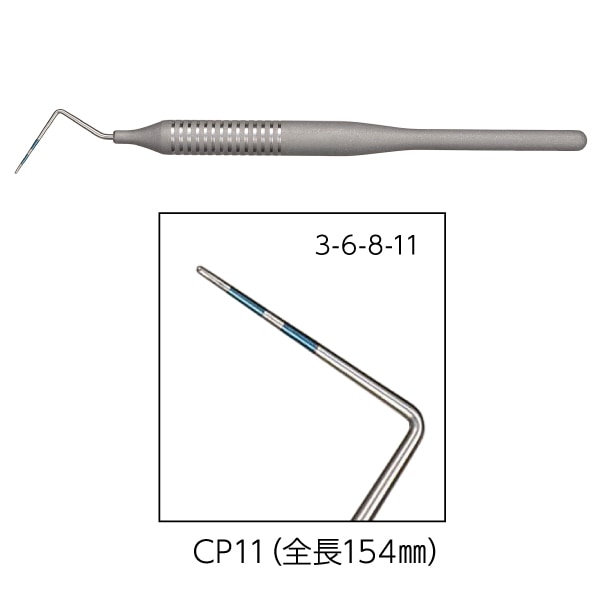 ץAA L/H (CP11)