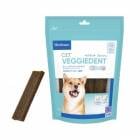 C.E.T.٥ǥȥեå M 15