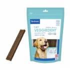 C.E.T.٥ǥȥեå L 15