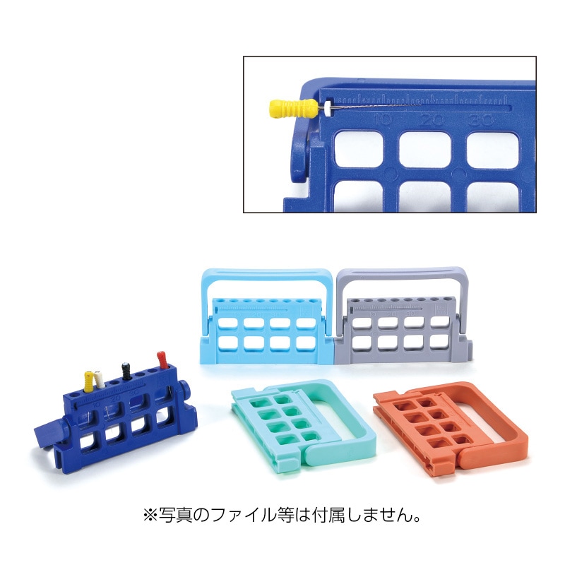 �ե�����ǥ����ڥ󥵡� 8�� ����� / 1��