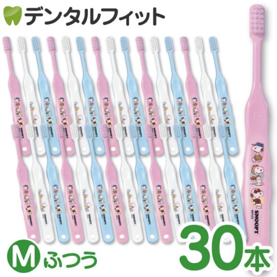 Ci 502 ̡ԡ 3 MդĤ 30Ciǥ ֥饷