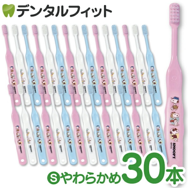 ڥ᡼ؤ̵Ci 503 ̡ԡ 3 S餫 30Ciǥ ֥饷ۡʥ᡼2ޤǡ