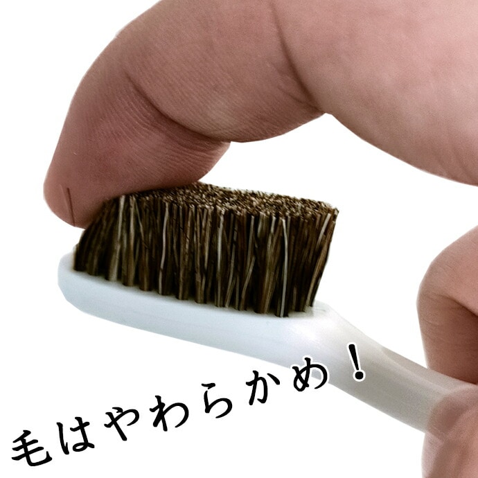メール便で送料無料】エビス 軟毛歯ブラシ やわらかめ 6本セット 弱っ
