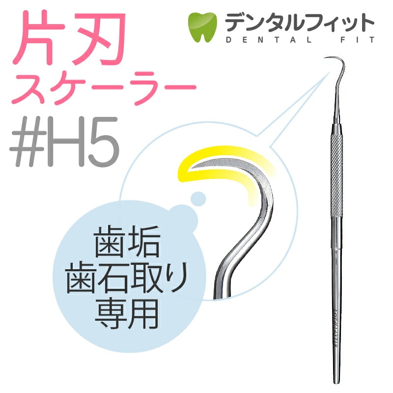 メール便で送料無料】片頭（片刃）スケーラー #5 1本と#33 1本の